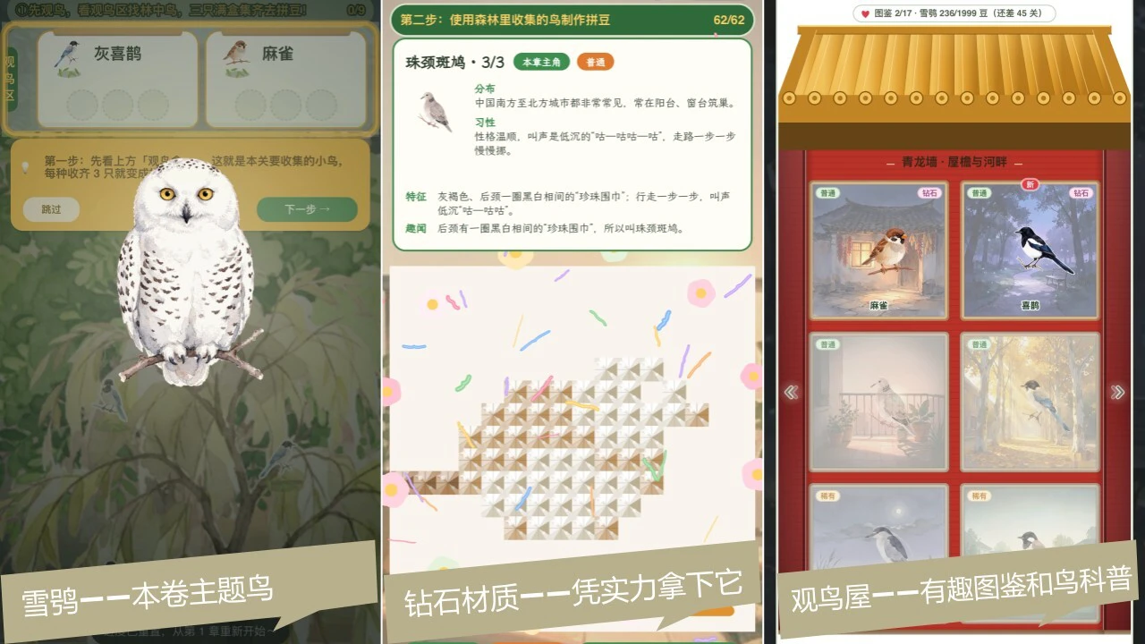 观鸟-拼豆_6