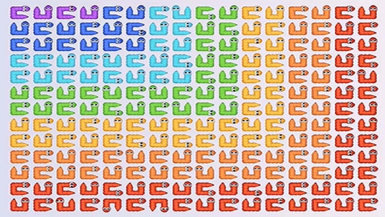 箭了又箭_6