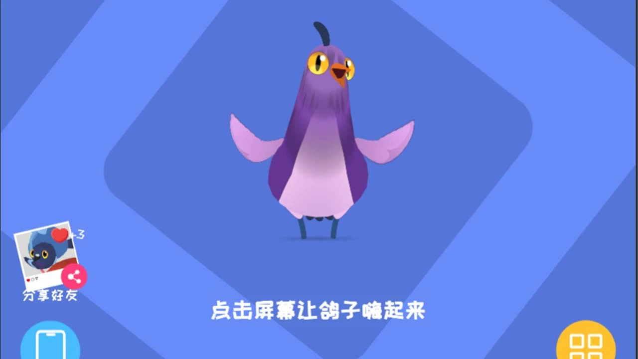 疯狂的鸽子表情_5