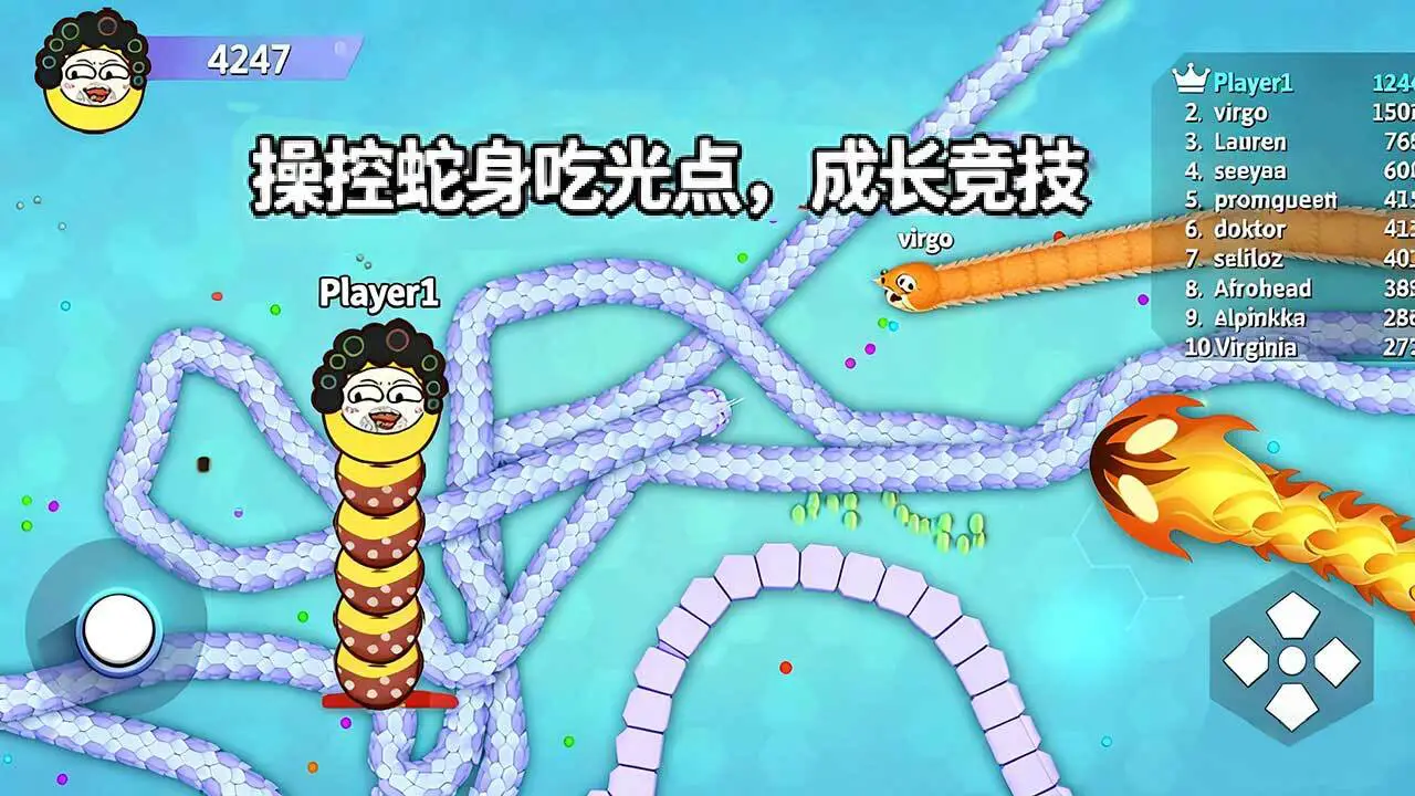 贪吃蛇经典进化游戏_4