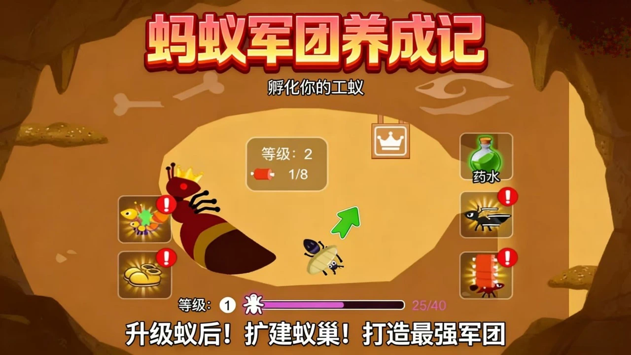 天天刮翡翠_6