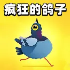 疯狂的鸽子233ICON