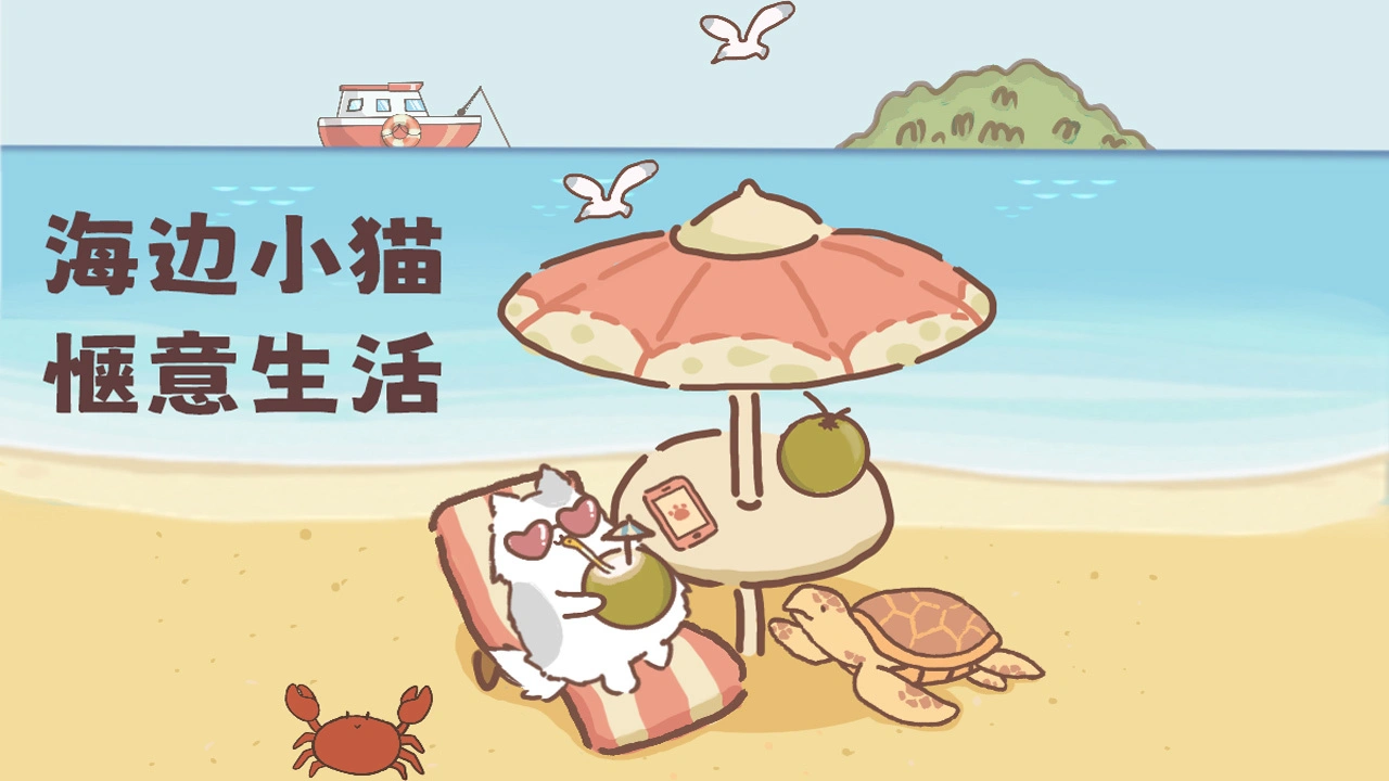 海边小猫_4