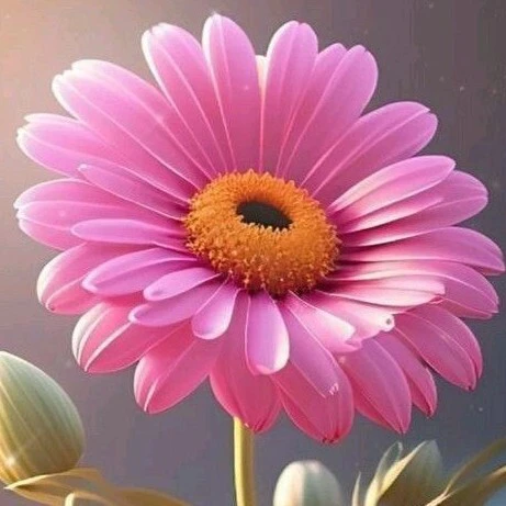 花朵消消游戏ICON
