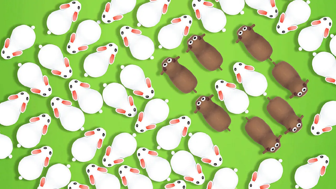 挪兔兔_5