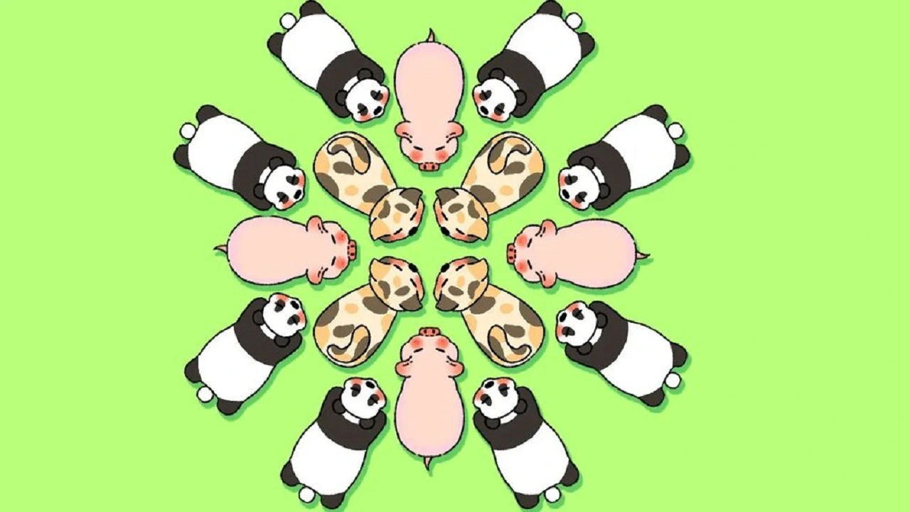 全民养猪场小游戏_6