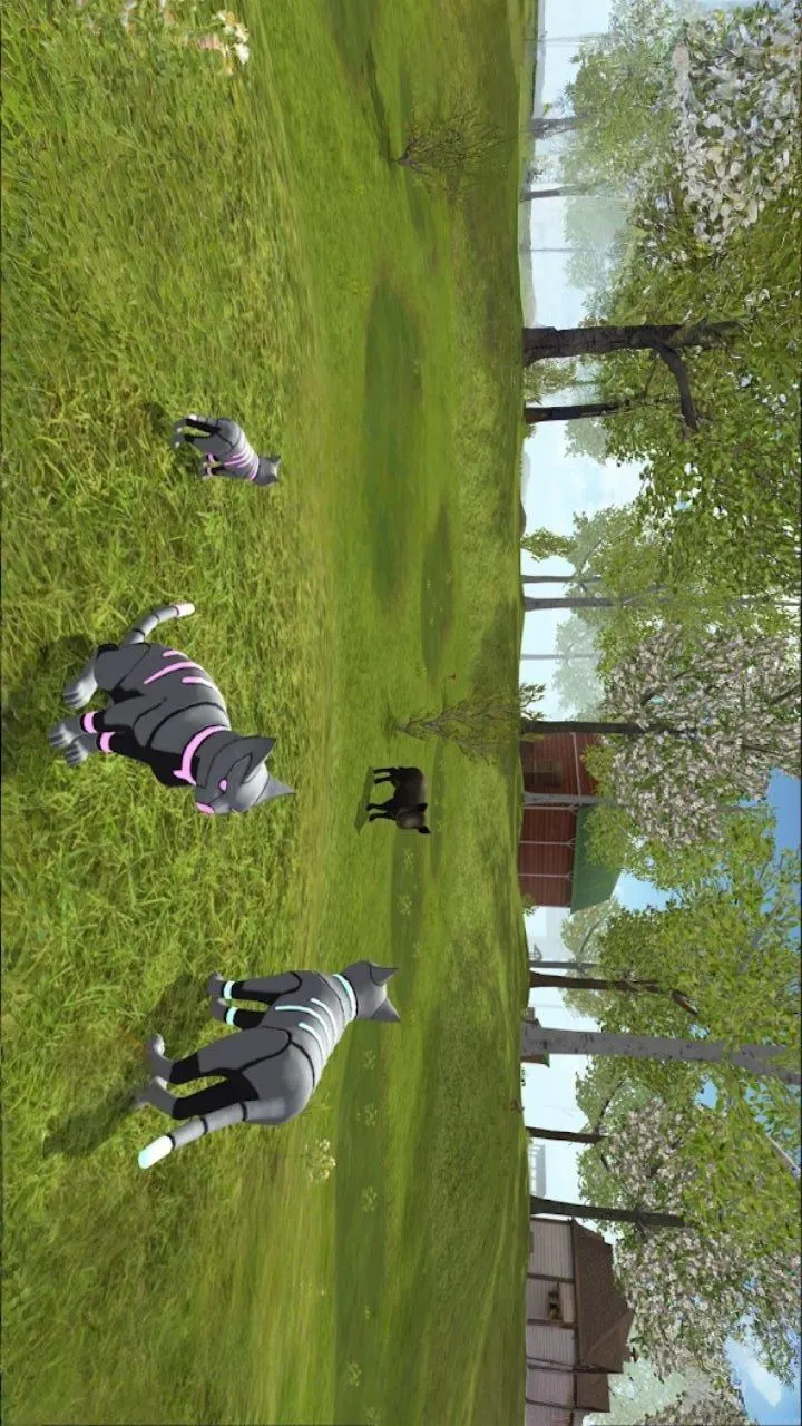 猫咪真实模拟_3