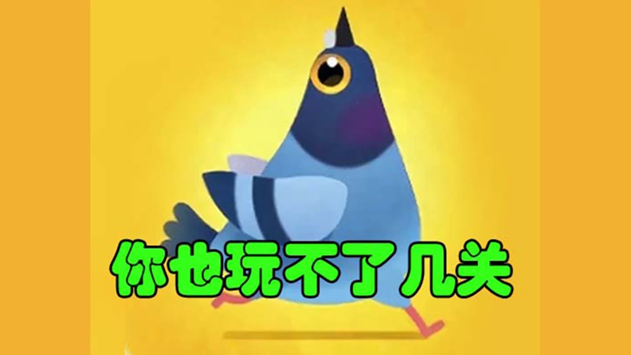 疯狂的玩到爽飞鸽子_6