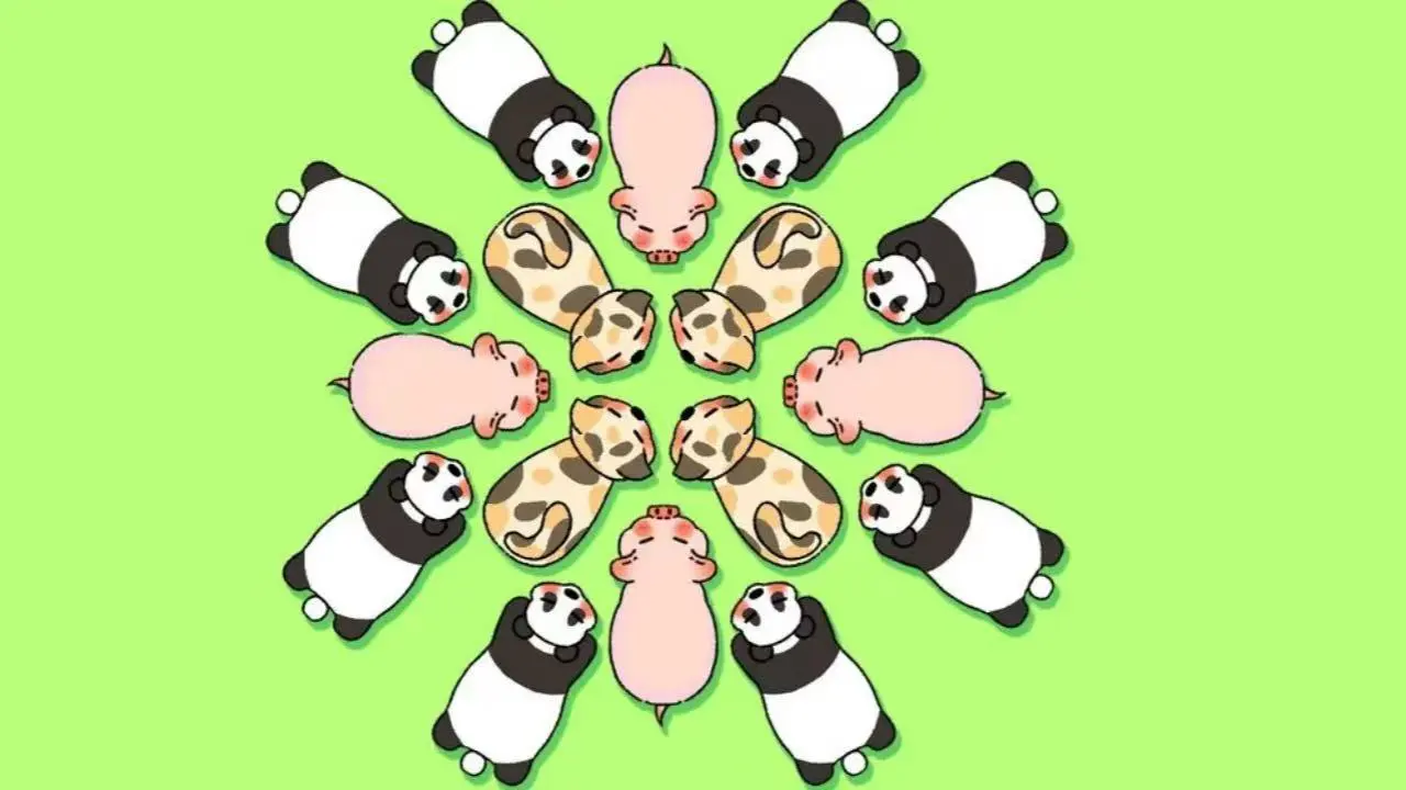 植对战融合正版_2