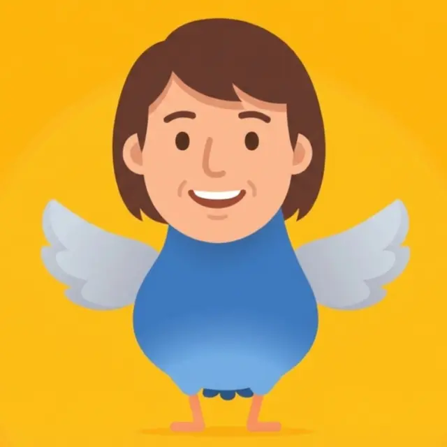 疯狂的鸽子特效ICON