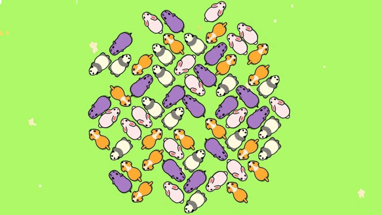 挪小猪_7