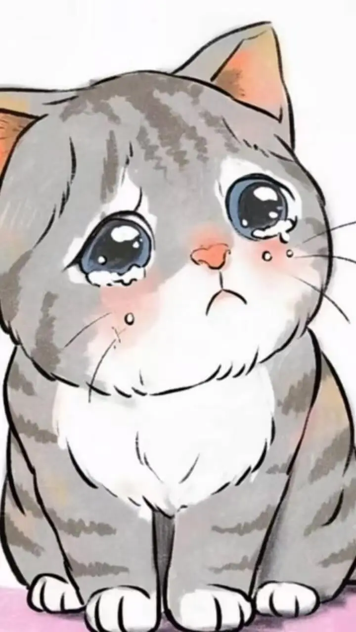 猫猫闯不停_3