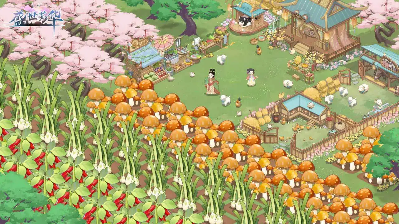 盛世芳华_7