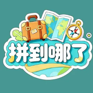 拼到哪了ICON
