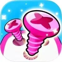解压拔螺丝大师ICON