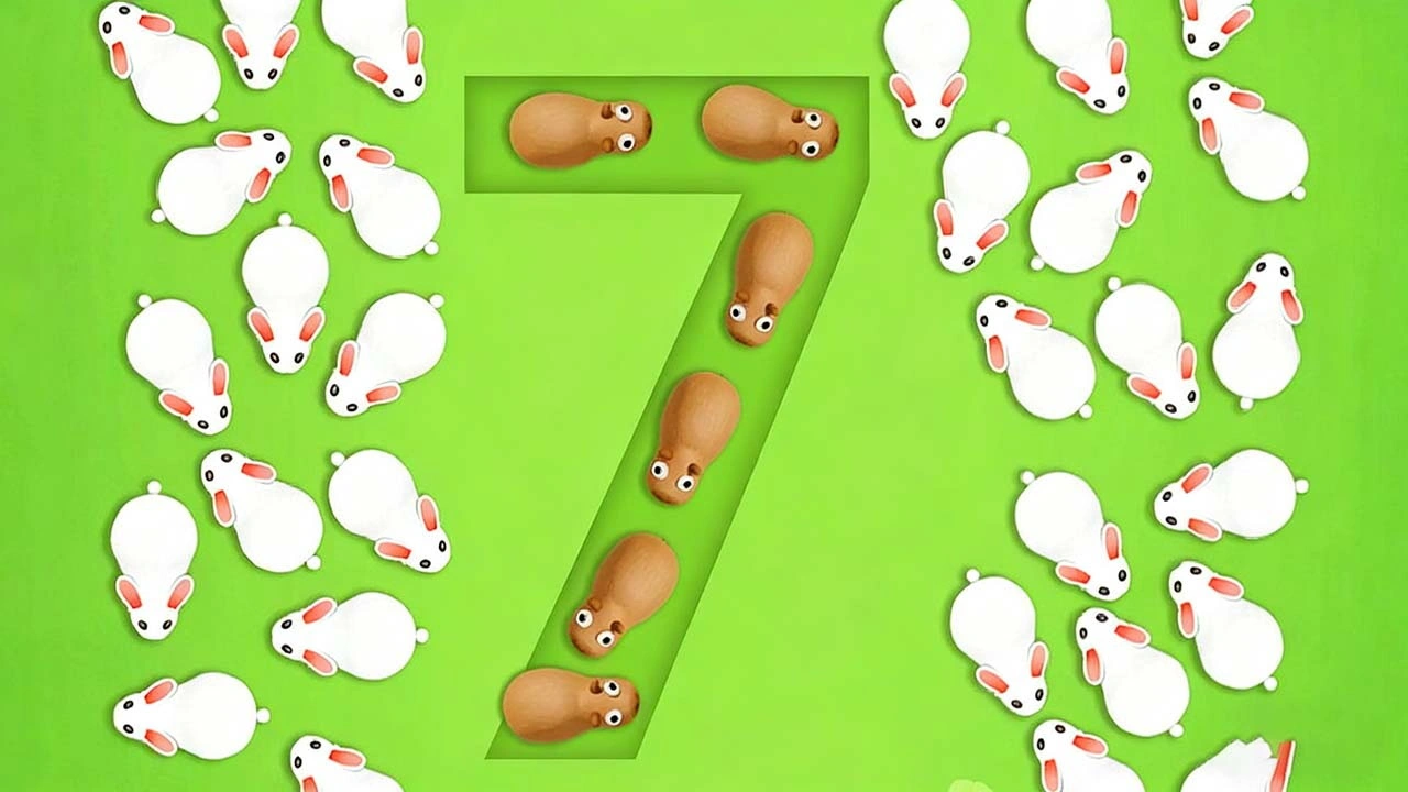 解救小兔兔_4