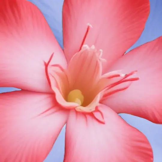 消除新花样ICON