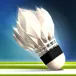 羽毛球高高手游戏软件1.1.3023ICON