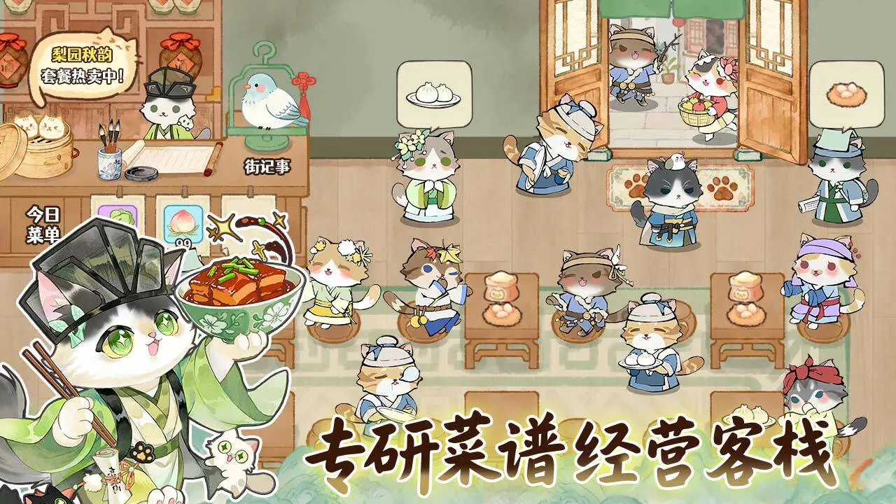 城里的猫_5