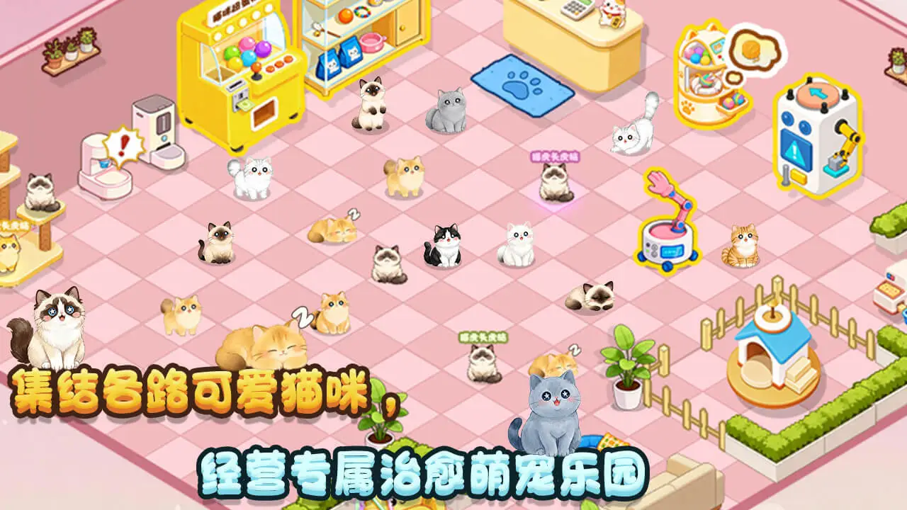 重生开猫咖_5
