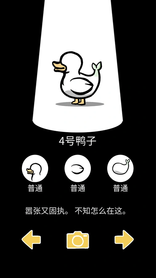 奇怪的鸭子_2