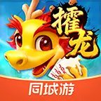 同城游攉龙ICON